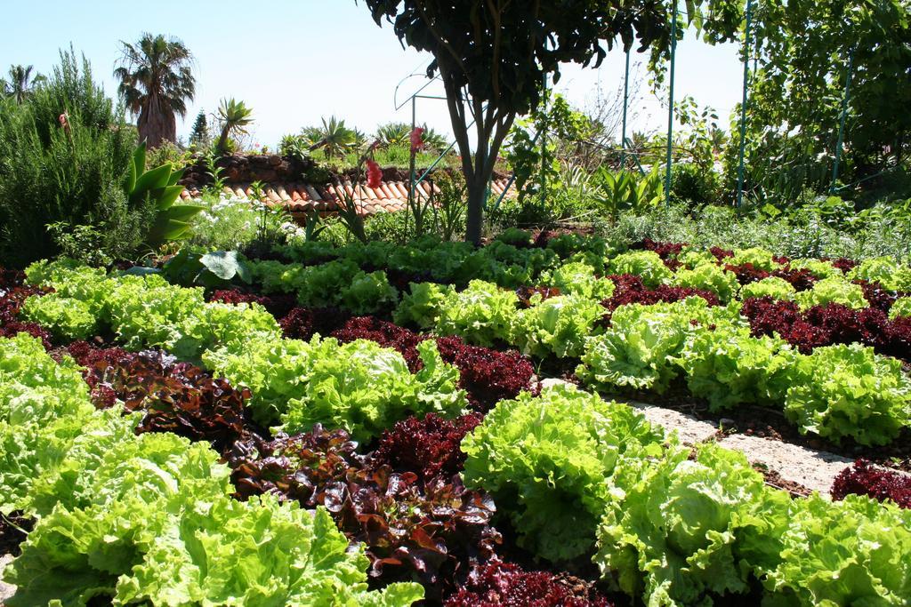 Hotel Quinta Splendida Wellness & Botanical Garden