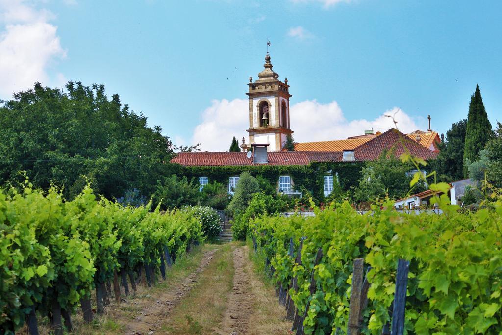 Casa Dos Barros Winery By Vintage Theory