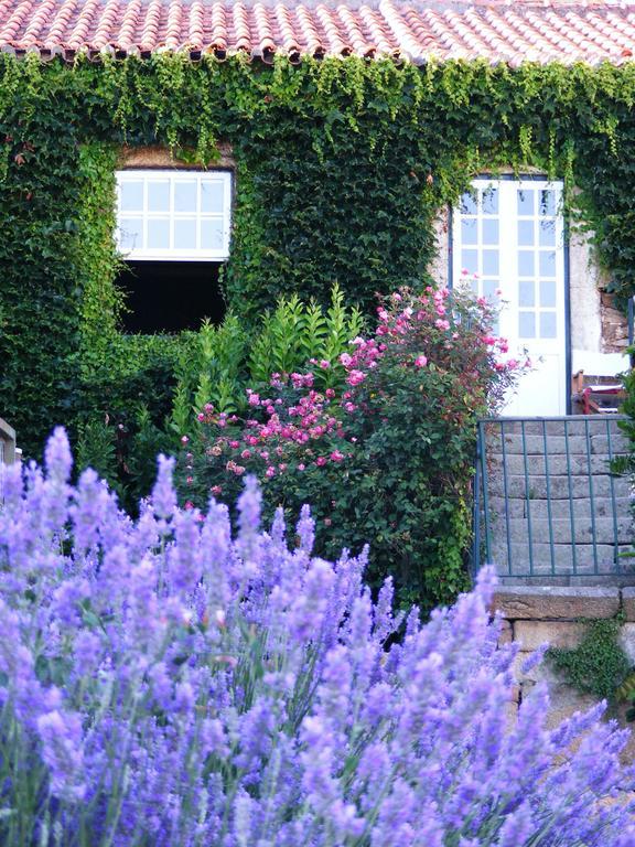 Farm stay Casa Dos Barros Winery By Vintage Theory *
