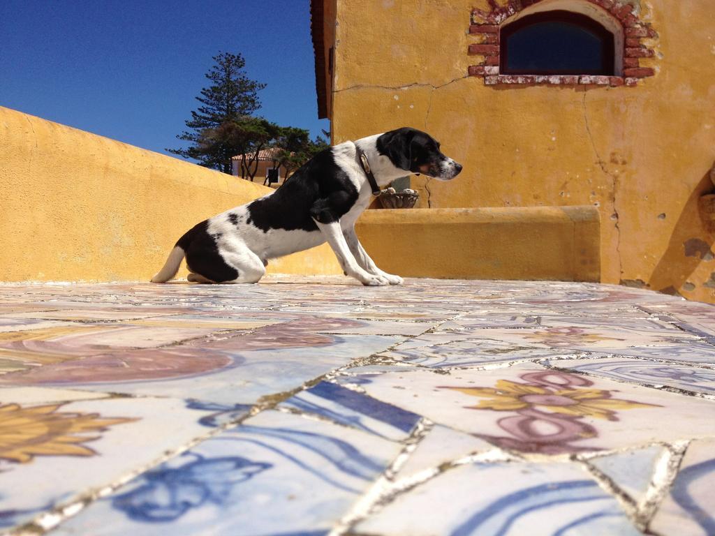 Quinta Da Faianca Guest house *
