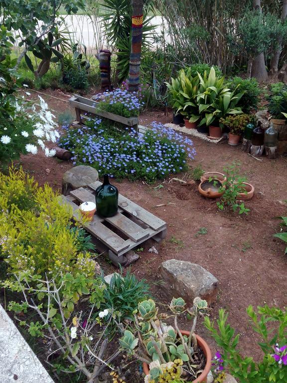 Vivenda Familia Pedro Guest house