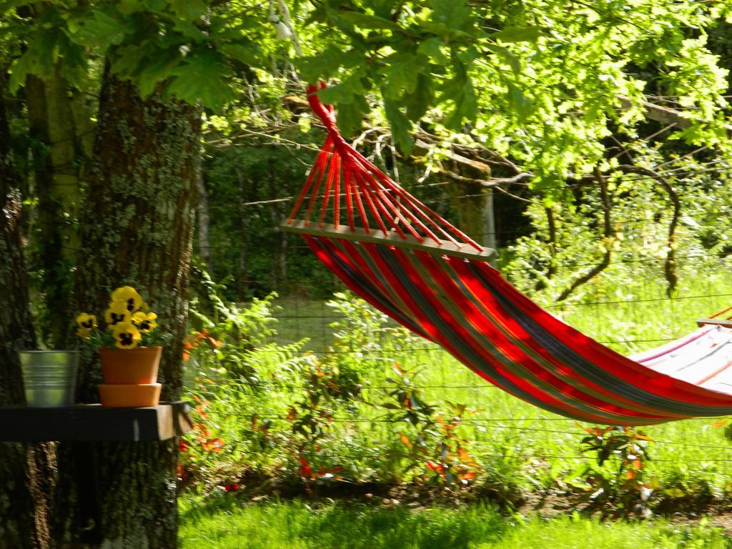 Quinta Lamosa Farm stay