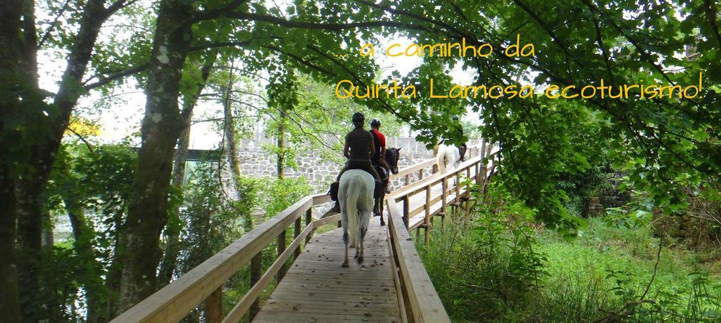 Quinta Lamosa Farm stay *