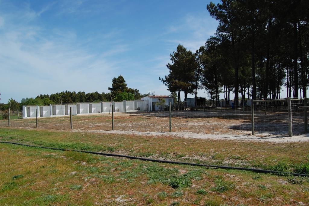 Quinta Da Fonte De *