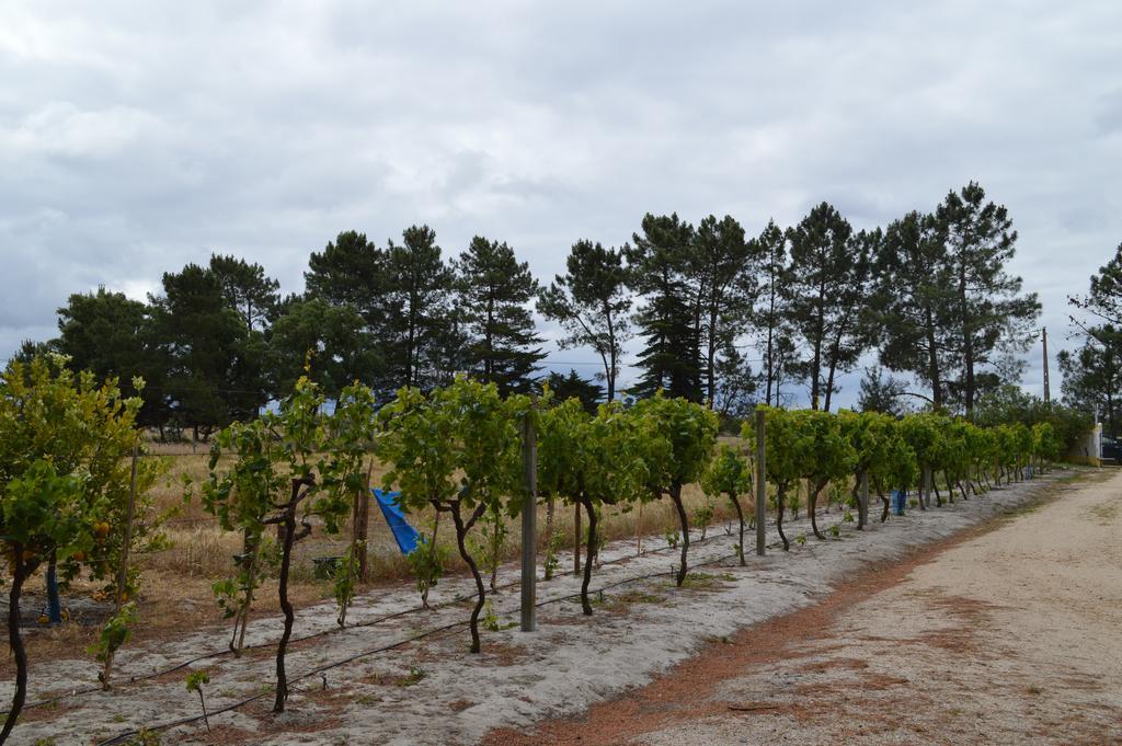 Quinta Da Fonte De * Grandola