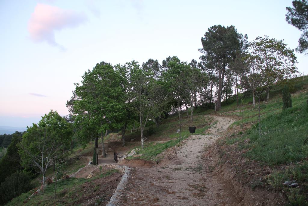 Inn Douro Valley 3*