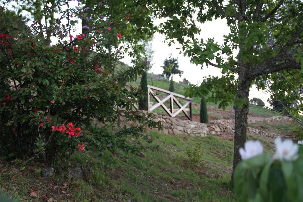Douro Valley Inn 3*