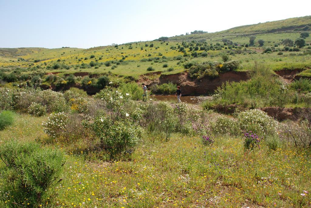 Terraco E Mar Apartamento Alvor