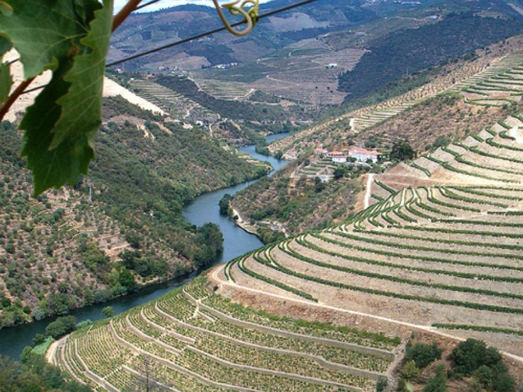 Douro House Loft Tabuaco