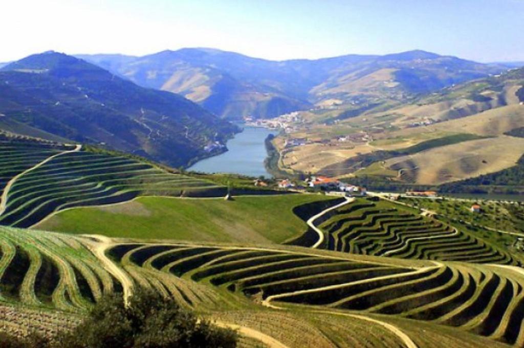 Holiday home Douro House Loft Tabuaco