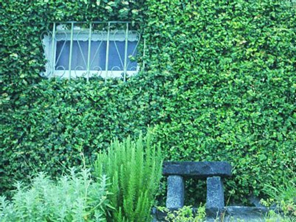 Holiday home Quinta De Milhafres Vila Franca do Campo