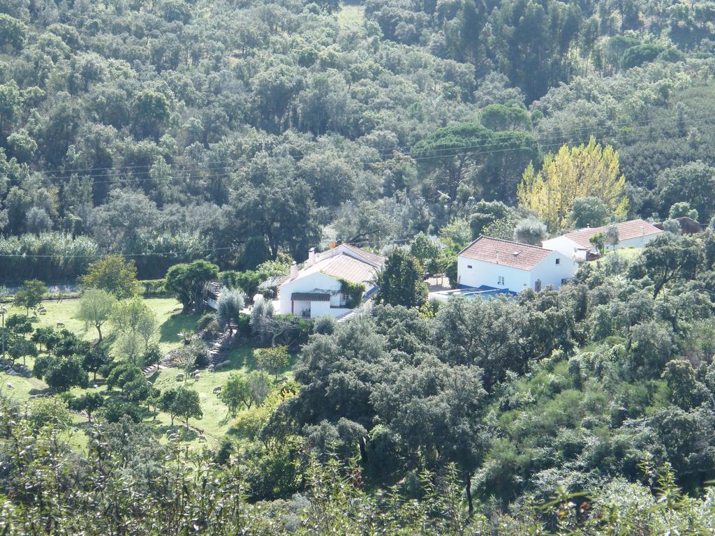 Olival Das Hortas Grandola