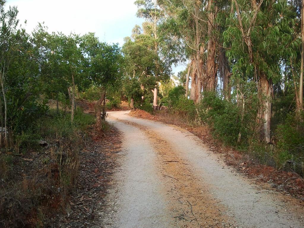 Herdade Quinta Natura Bed & Breakfast Aljezur