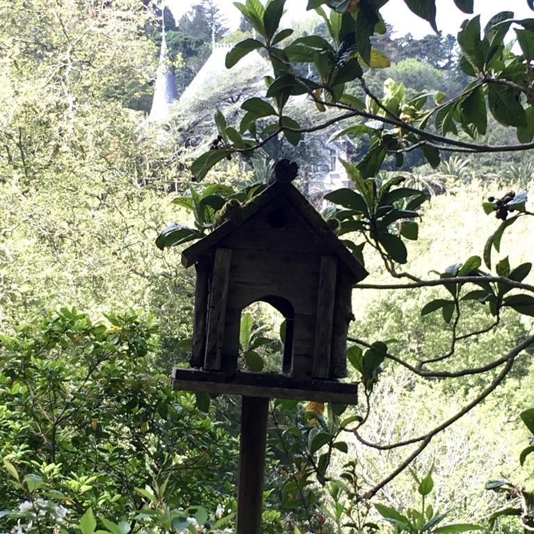 Holiday home Casa Da Capela Sintra
