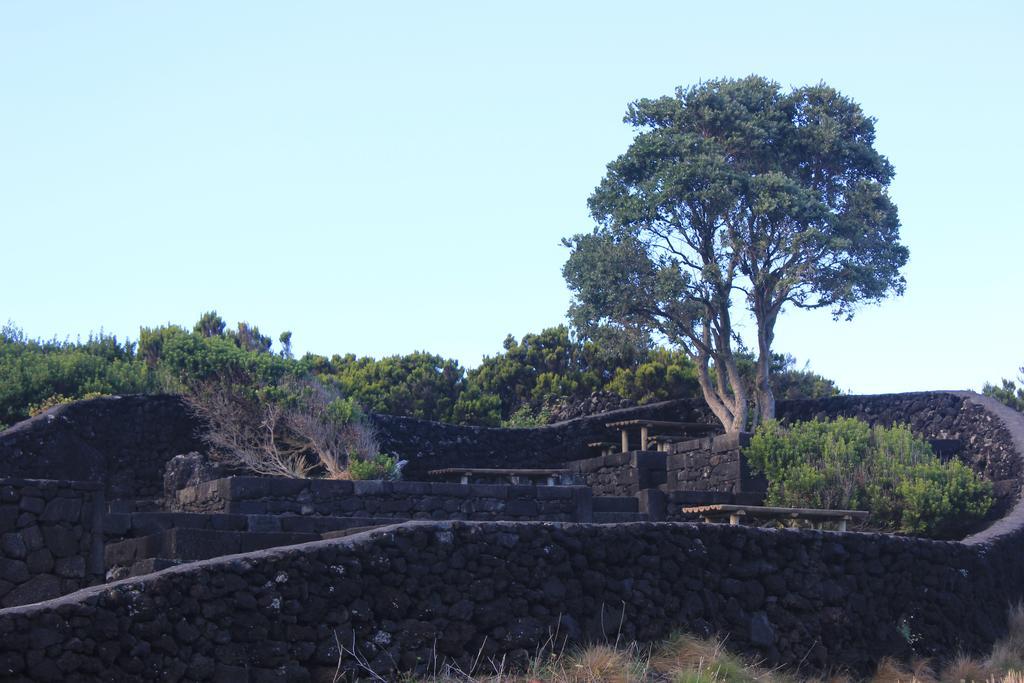 Adega Do Mirante