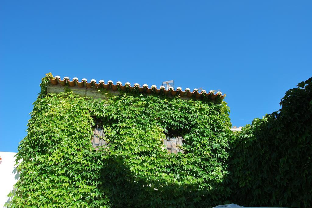 Rio Natural Guest house Vila Nova de Milfontes