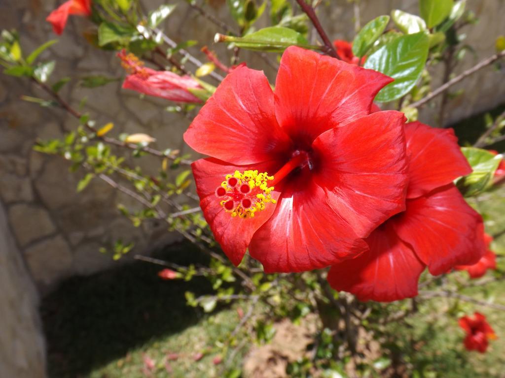 Villa Claramar *