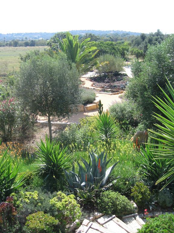 Quinta Amarela Holiday home *