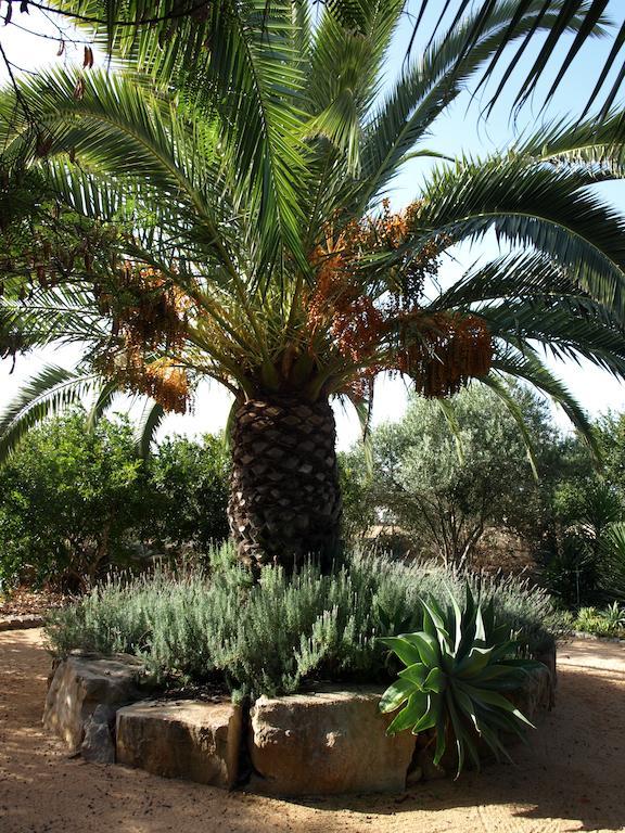 Quinta Amarela Moncarapacho