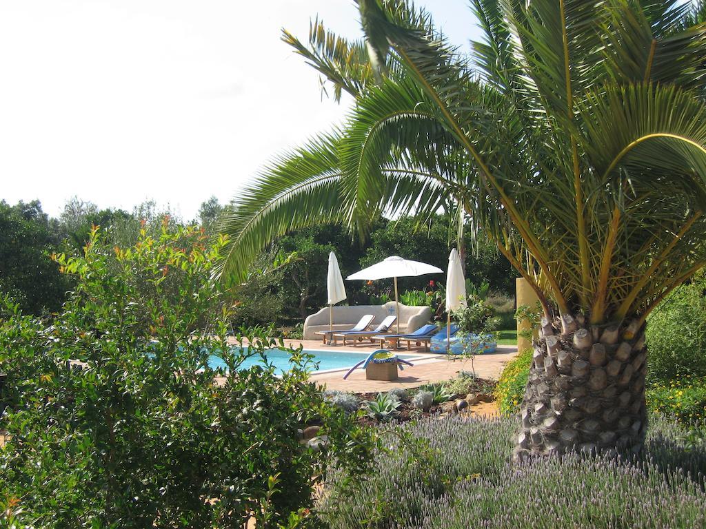 Quinta Amarela Moncarapacho