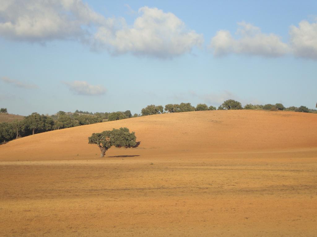 Herdade Da Fonte Branca