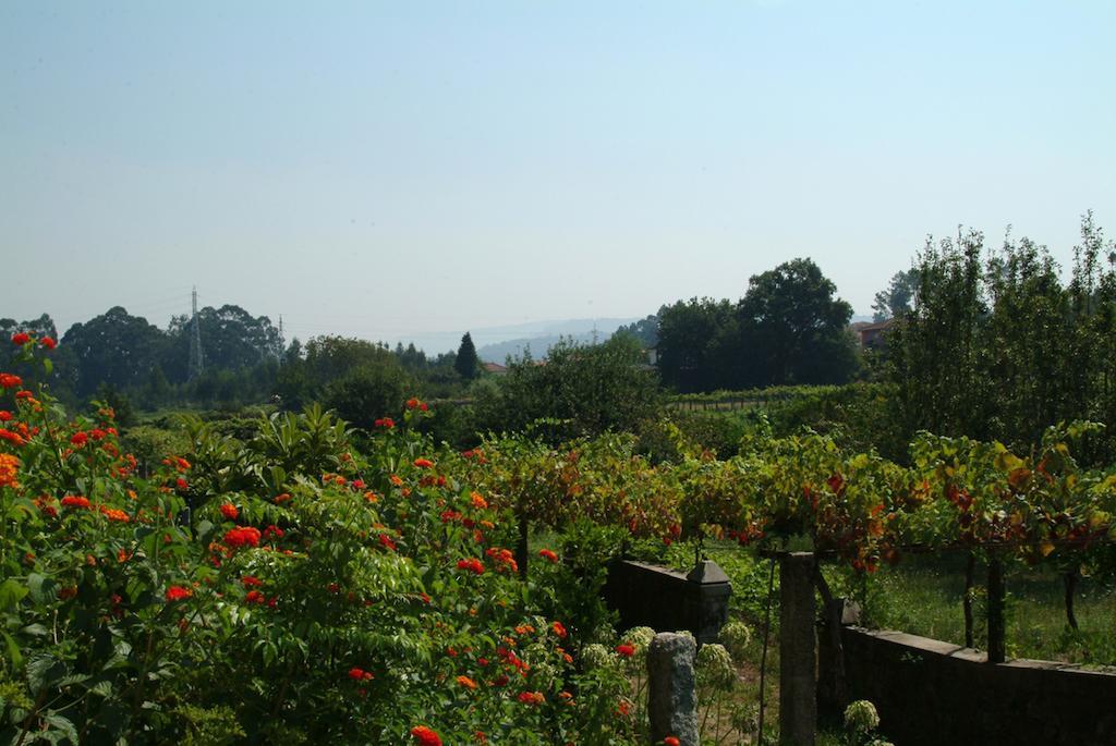 Quinta Do Vale Do Monte Chácara