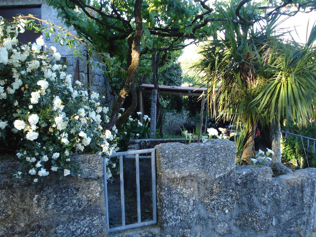 Casa Do Faroca Vieira do Minho