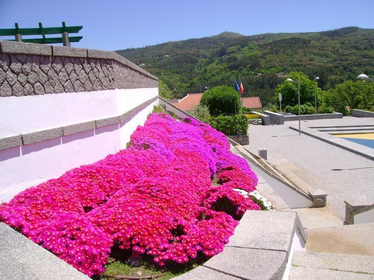 Guest house Miradouro Da Serra