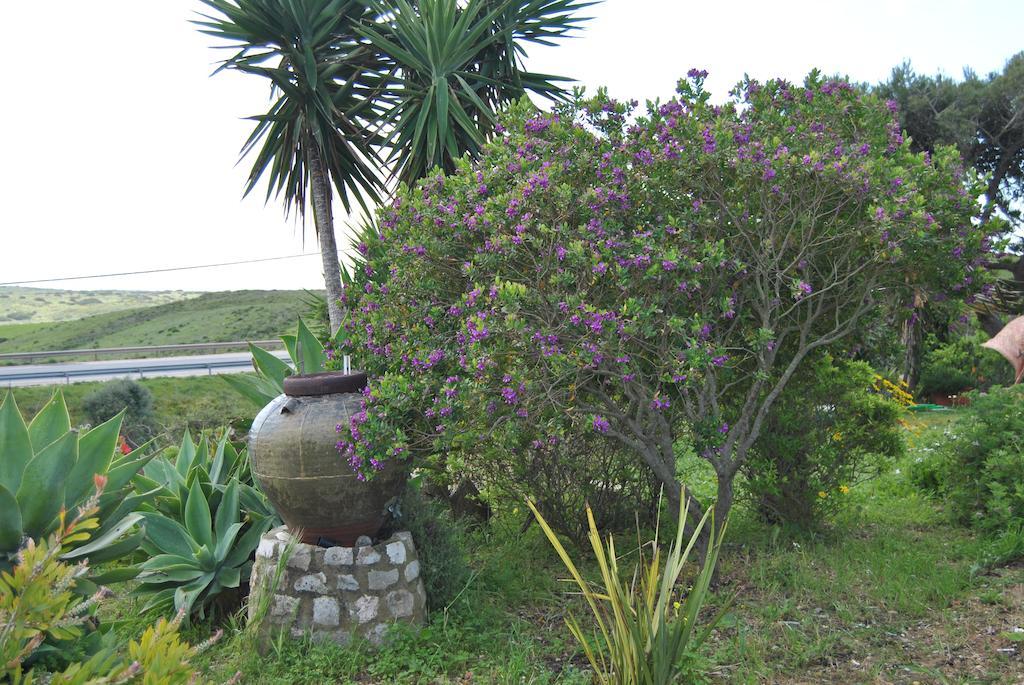 Guest house Vivenda Familia Pedro