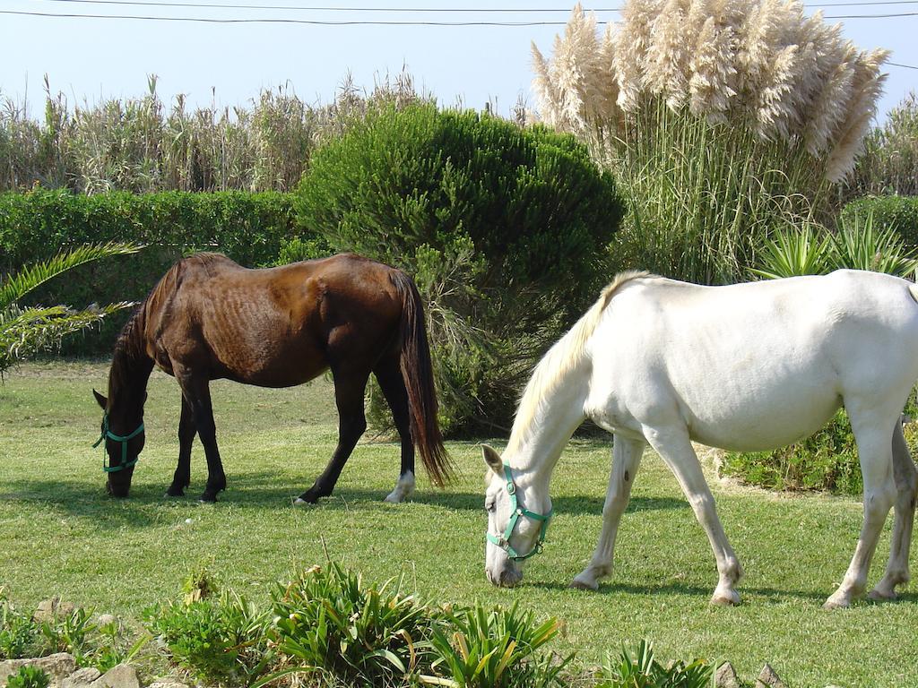 Bed & Breakfast Quinta Beira-mar *