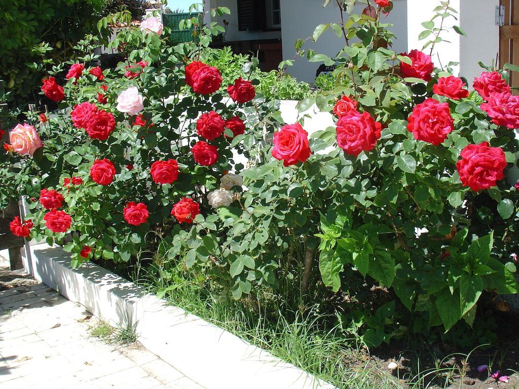 Bed & Breakfast Quinta Beira-mar