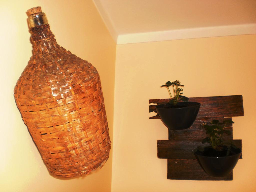 Bed & Breakfast Swordfish Eco-house *