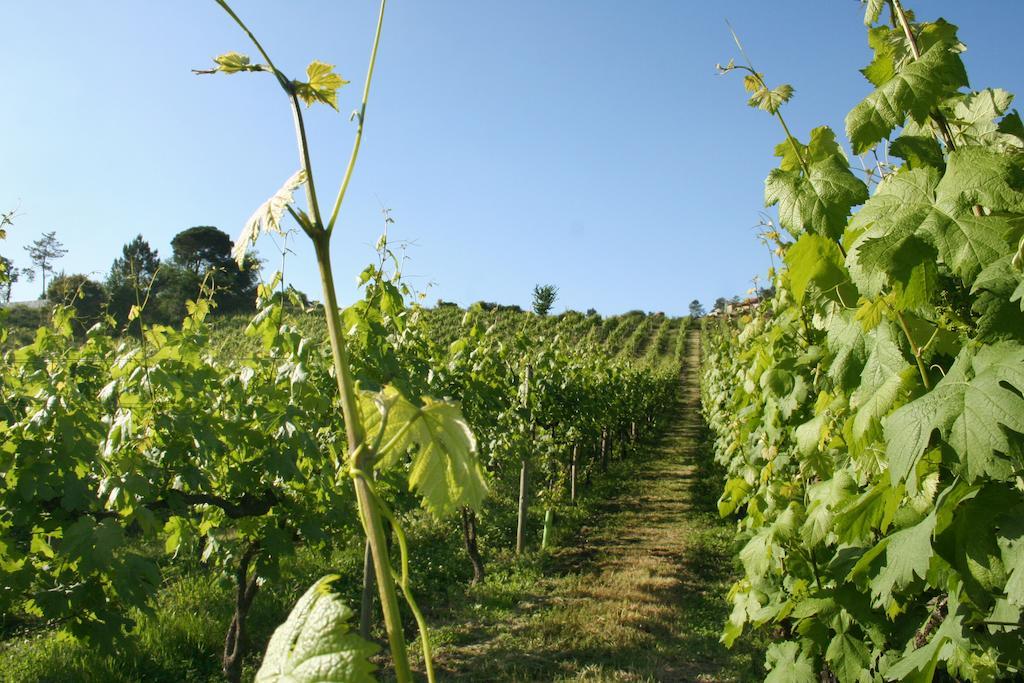 Country house Quinta De Lourosa Lousada