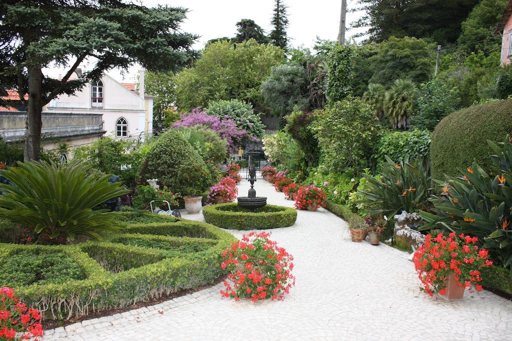 Guest house Mira Longa