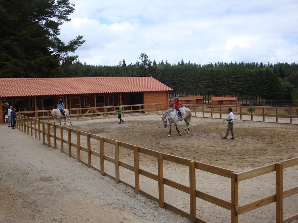 Campsite Parque Biologico De 3*