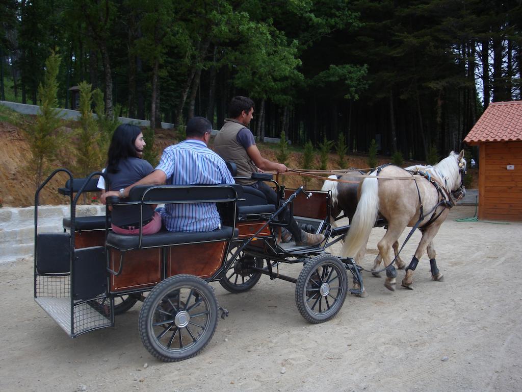 Campsite Parque Biologico De