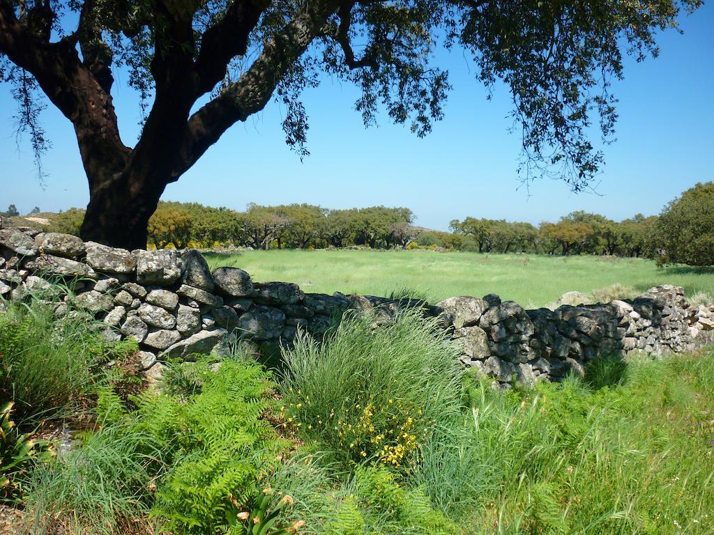 Campsite Camping Asseiceira