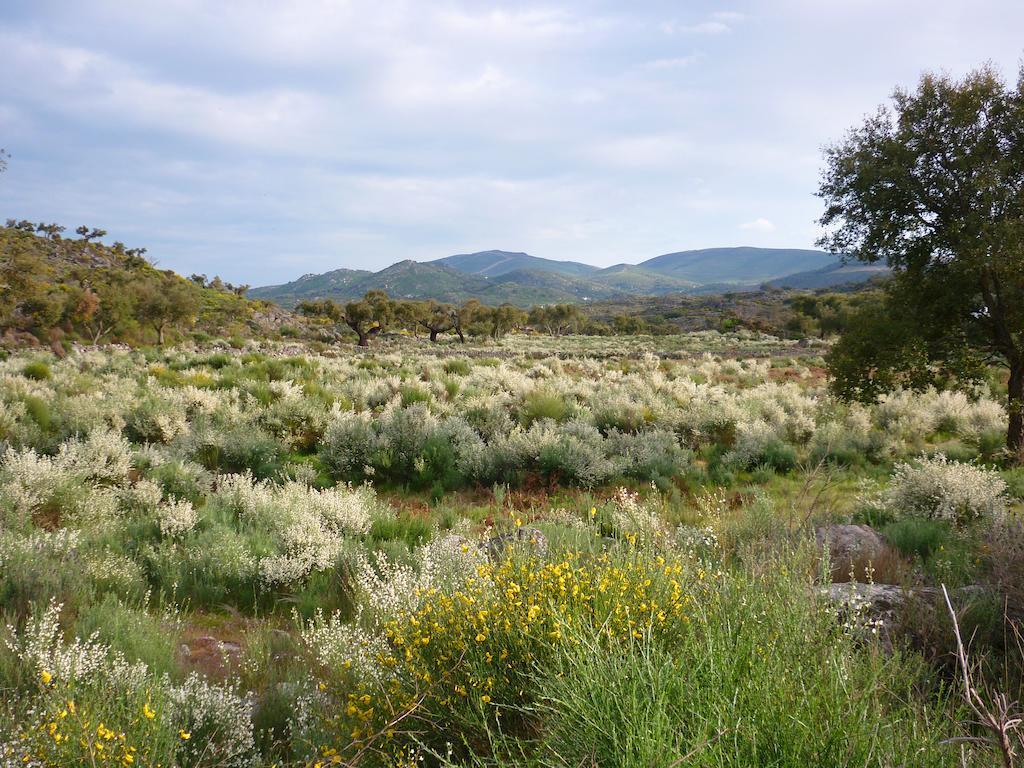 Campsite Camping Asseiceira Marvao (Portalegre)
