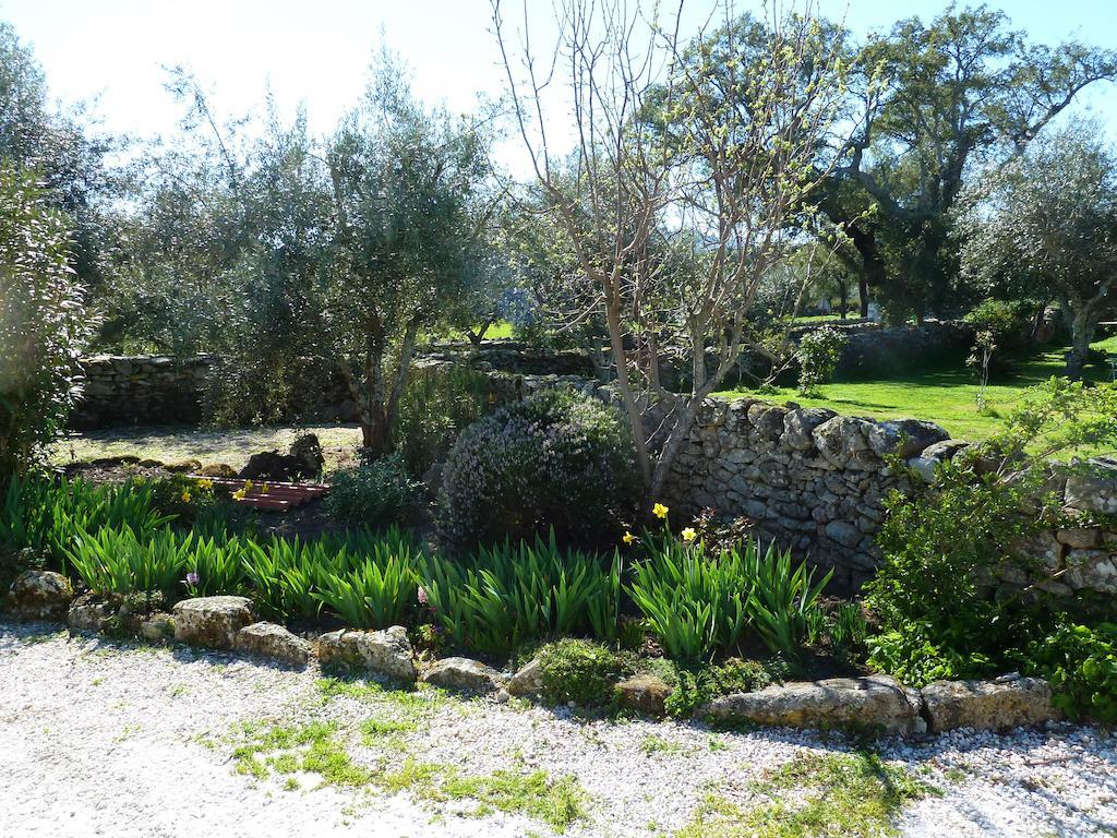 Campsite Camping Asseiceira