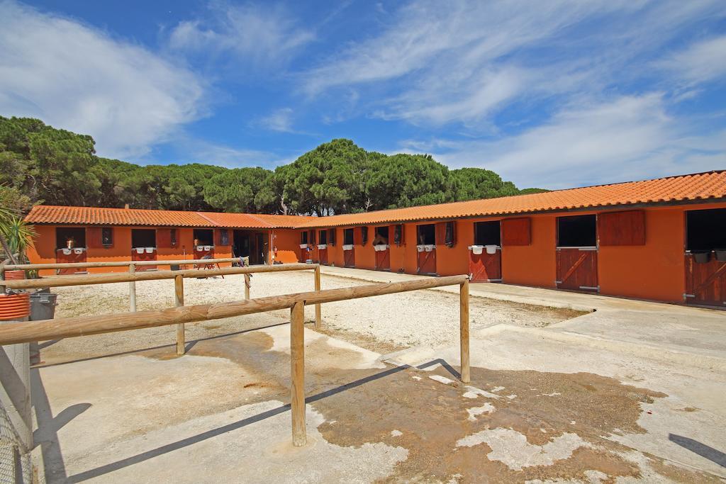 Villa Quinta Da Bicuda *