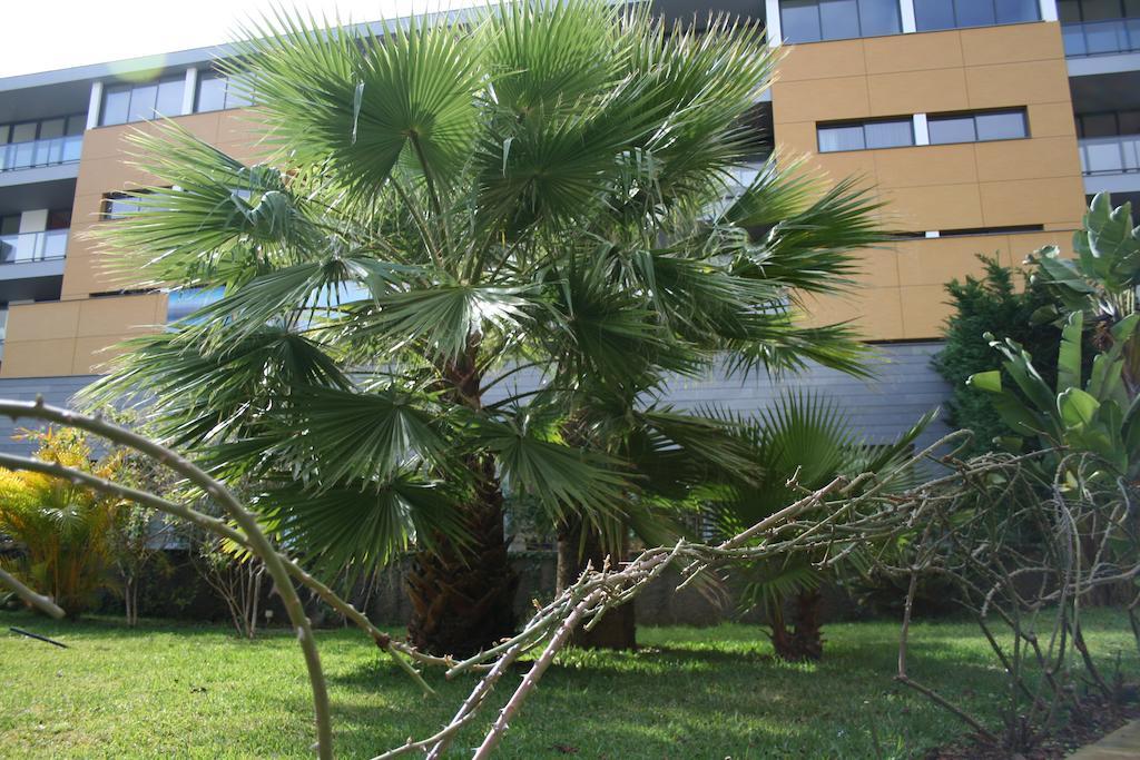 Apartamento Peaceful Funchal (Madeira)