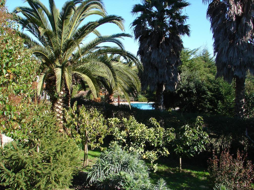 Country house Quinta -