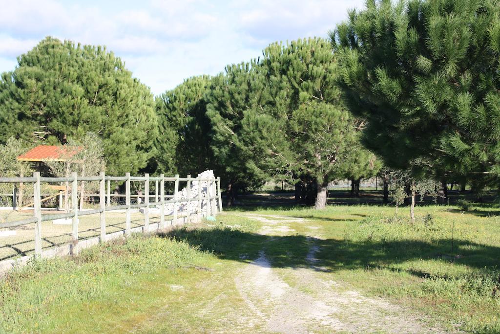 Monte Macario Local Coruche