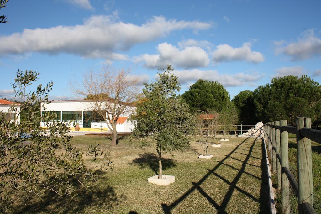 Casa de hóspedes Monte Macario Local Coruche