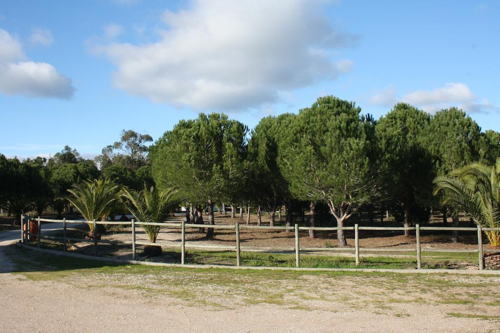 Casa de hóspedes Monte Macario Local Coruche