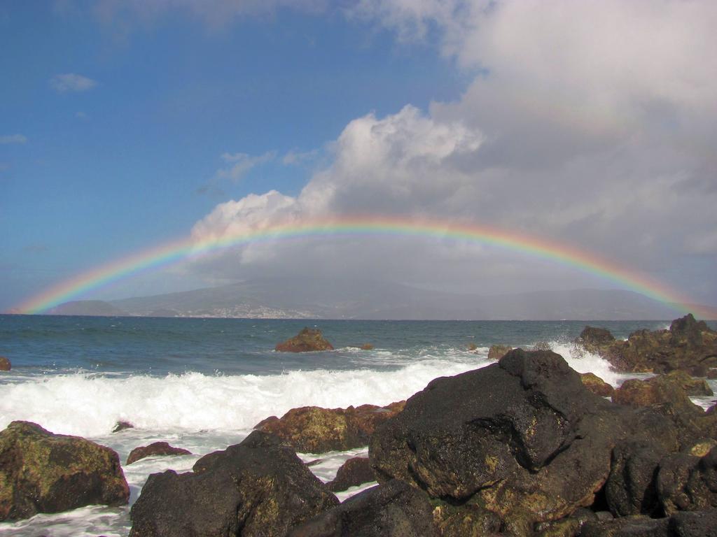 Bed & Breakfast Da Madalena Madalena (Azores)