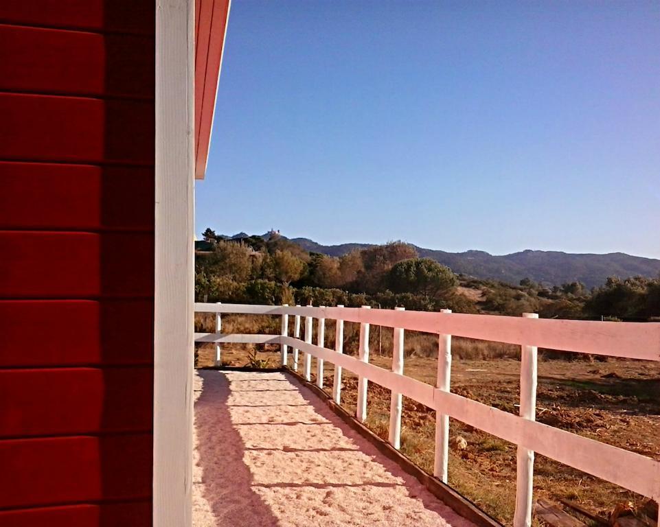 Quinta Dos Agapantos Sintra