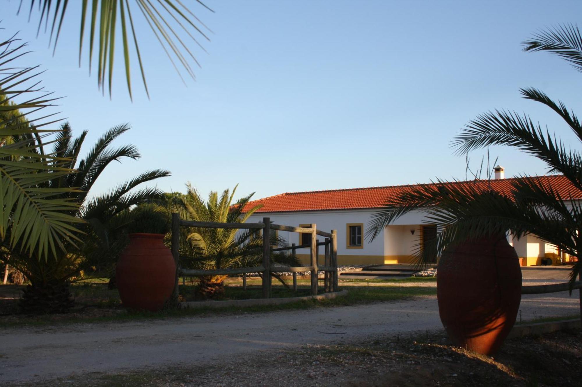 Casa de hóspedes Monte Macario Local Coruche