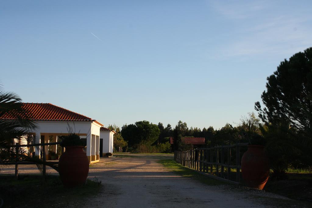 Monte Macário Local Coruche