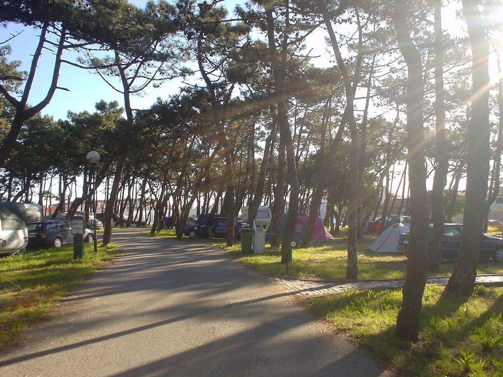 Campsite Parque De Campismo Da Da Barra
